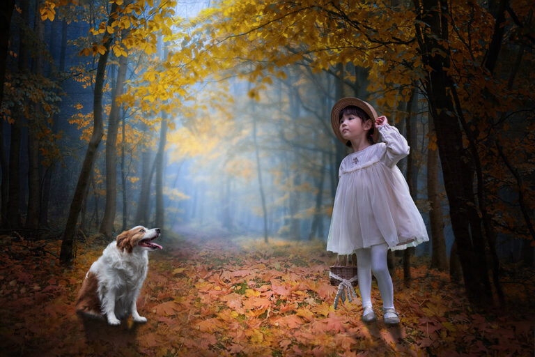 Dream of Life - Seeking in the forest